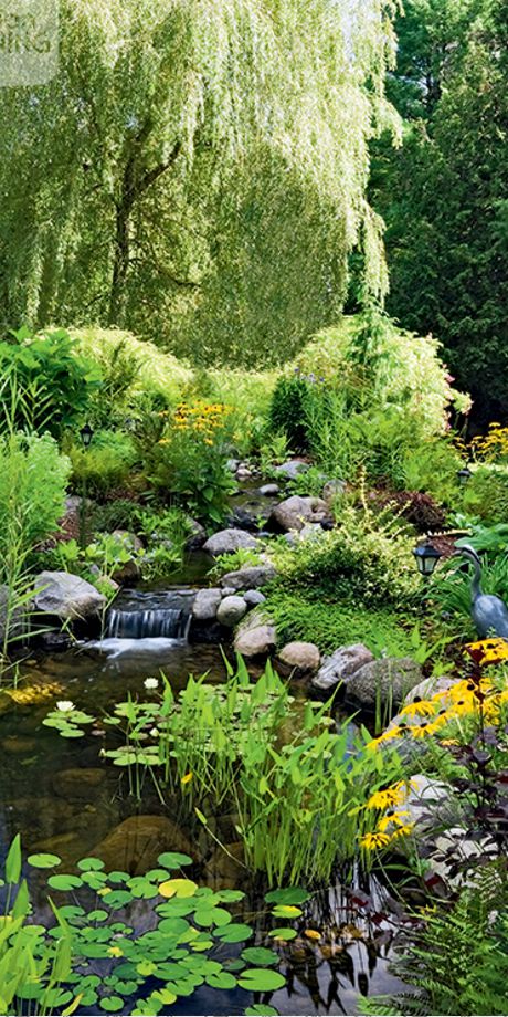 Un estanque con peces y plantas dará belleza y movimiento a tu jardín.
