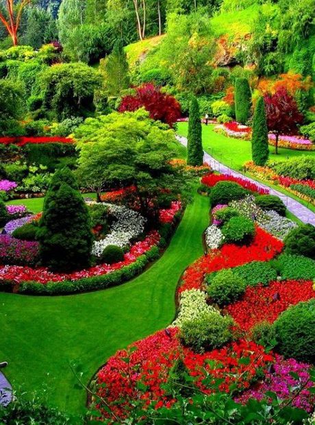 Jardinería especial para crear verdaderas obras de arte con combinaciones de formas y colores.